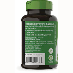 Astragalus Root
