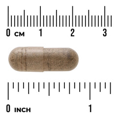 Horny Goat Weed Extract - Standardized