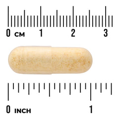 Egg Yolk Lecithin