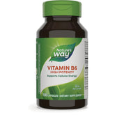Vitamin B-6 High Potency