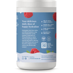 Daily Electrolyte Drink Mix - Blue Raspberry