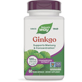 Ginkgo