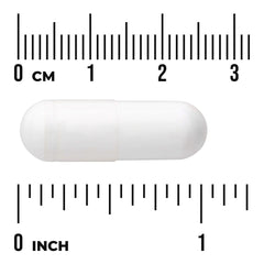 L-Arginine & L-Ornithine
