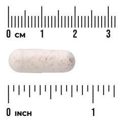 Lactobacillus Gasseri