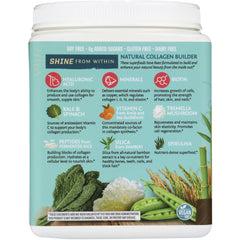 Collagen Building Protein Peptides - Chocolate Fudge
