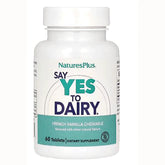 Say Yes to Dairy - French Vanilla