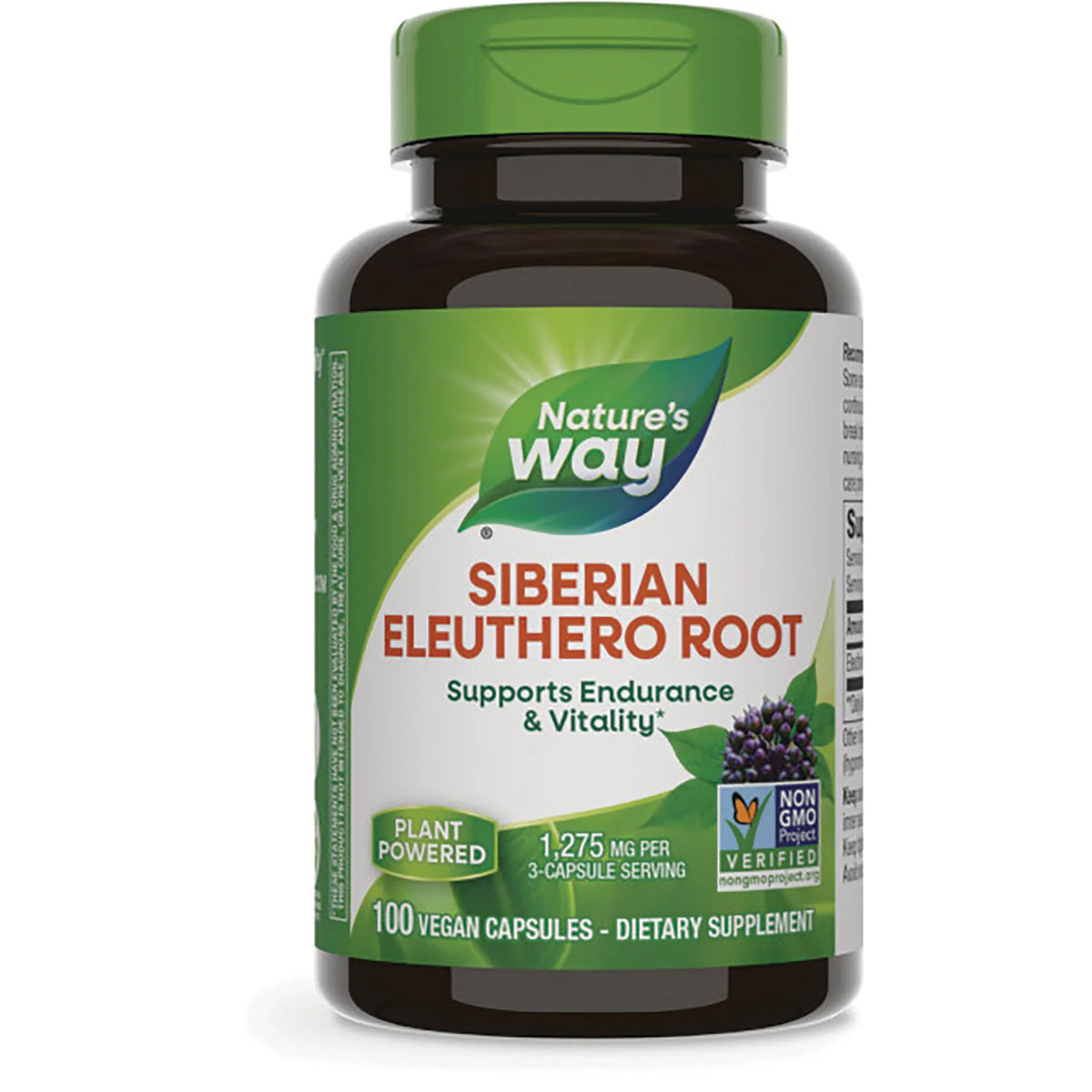 Siberian Eleuthero Root