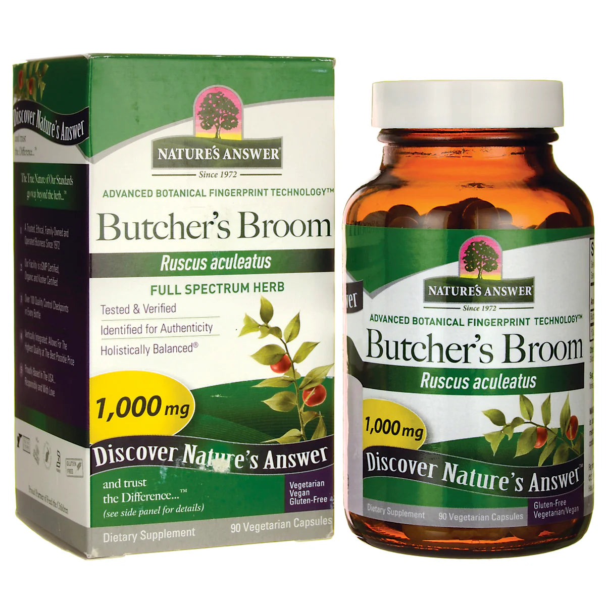 Butcher's Broom
