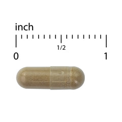 Ashwagandha EP35 Extra Strength