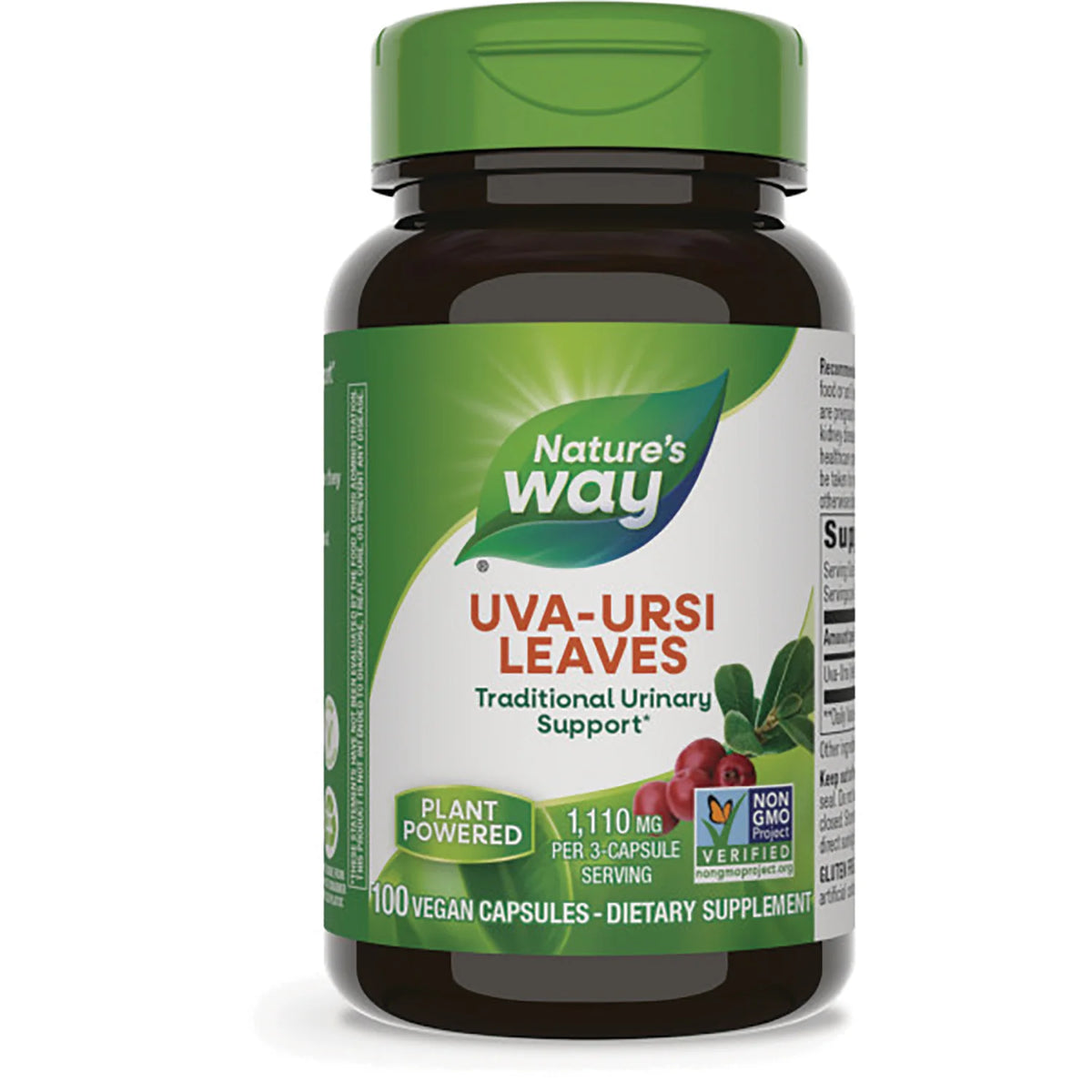 Uva Ursi Leaves