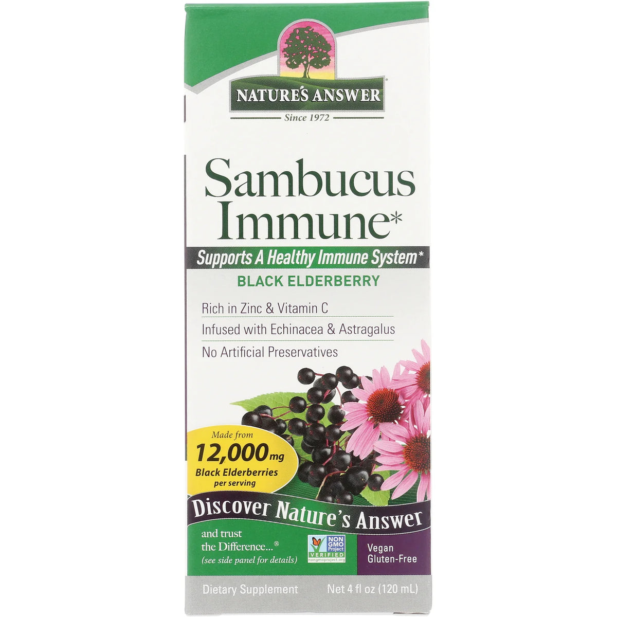 Sambucus Immune Black Elderberry