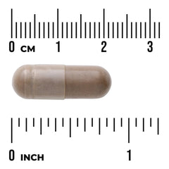 Triphala - Standardized