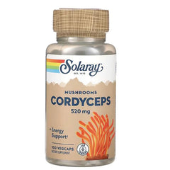 Mushrooms Cordyceps