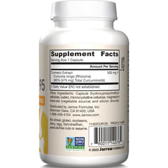 Vegan Curcumin 95
