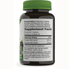 Black Elderberry
