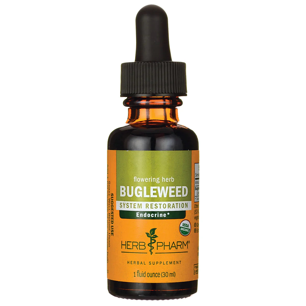Flowering Herb Bugleweed