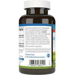 CoQ10