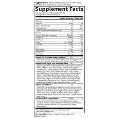 Raw Organic Perfect Food Green Superfood - Original