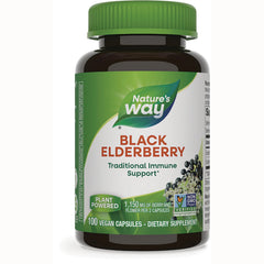 Black Elderberry