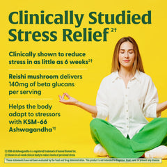 Superfood Mushroom Stress Relief