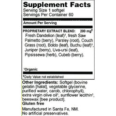 Kidney Tonic