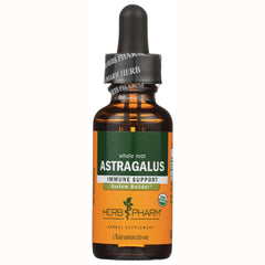 Astragalus