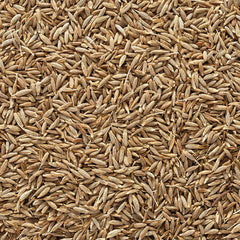 Organic Whole Cumin Seed