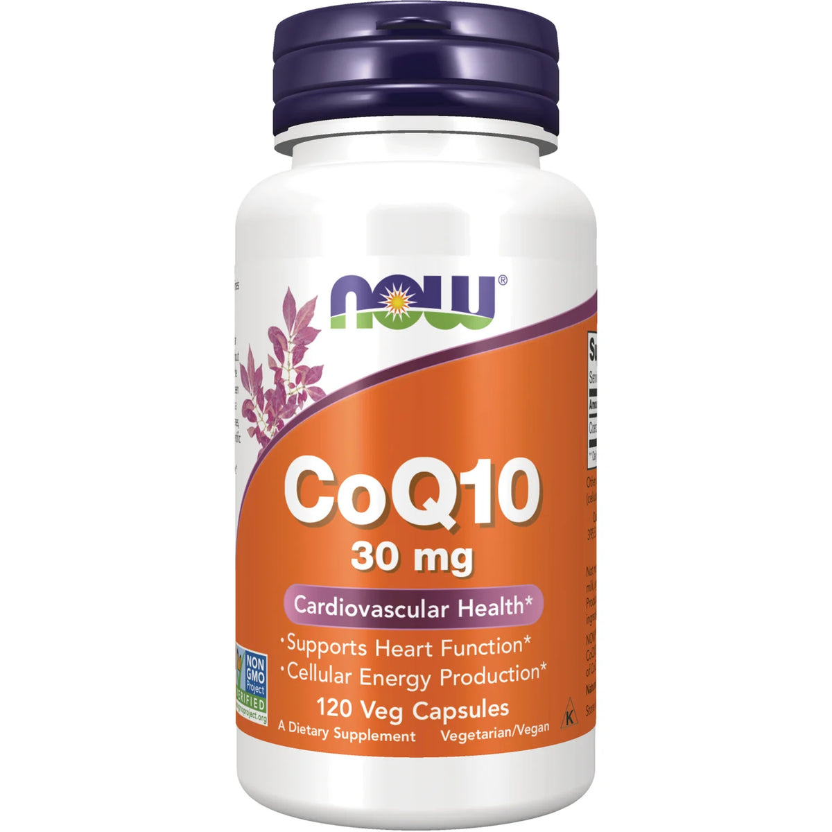 CoQ10