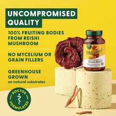 Superfood Mushroom Stress Relief
