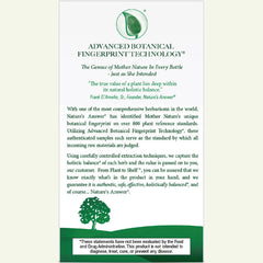 Astragalus