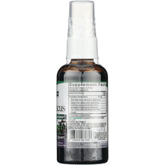 Sambucus Black Elderberry Extract Spray