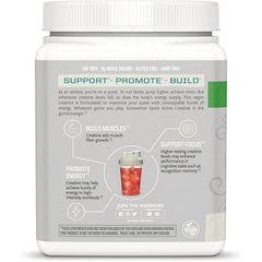 Active Creatine Monohydrate - Unflavored