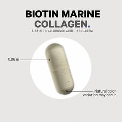 Biotin Marine Collagen+