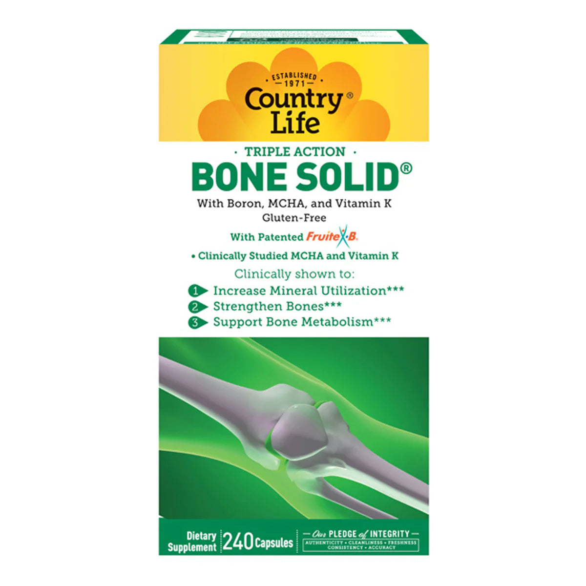 Bone Solid