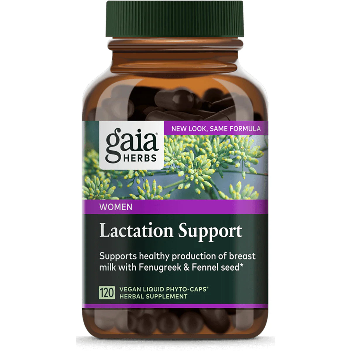 Lactate Support