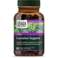 Lactate Support