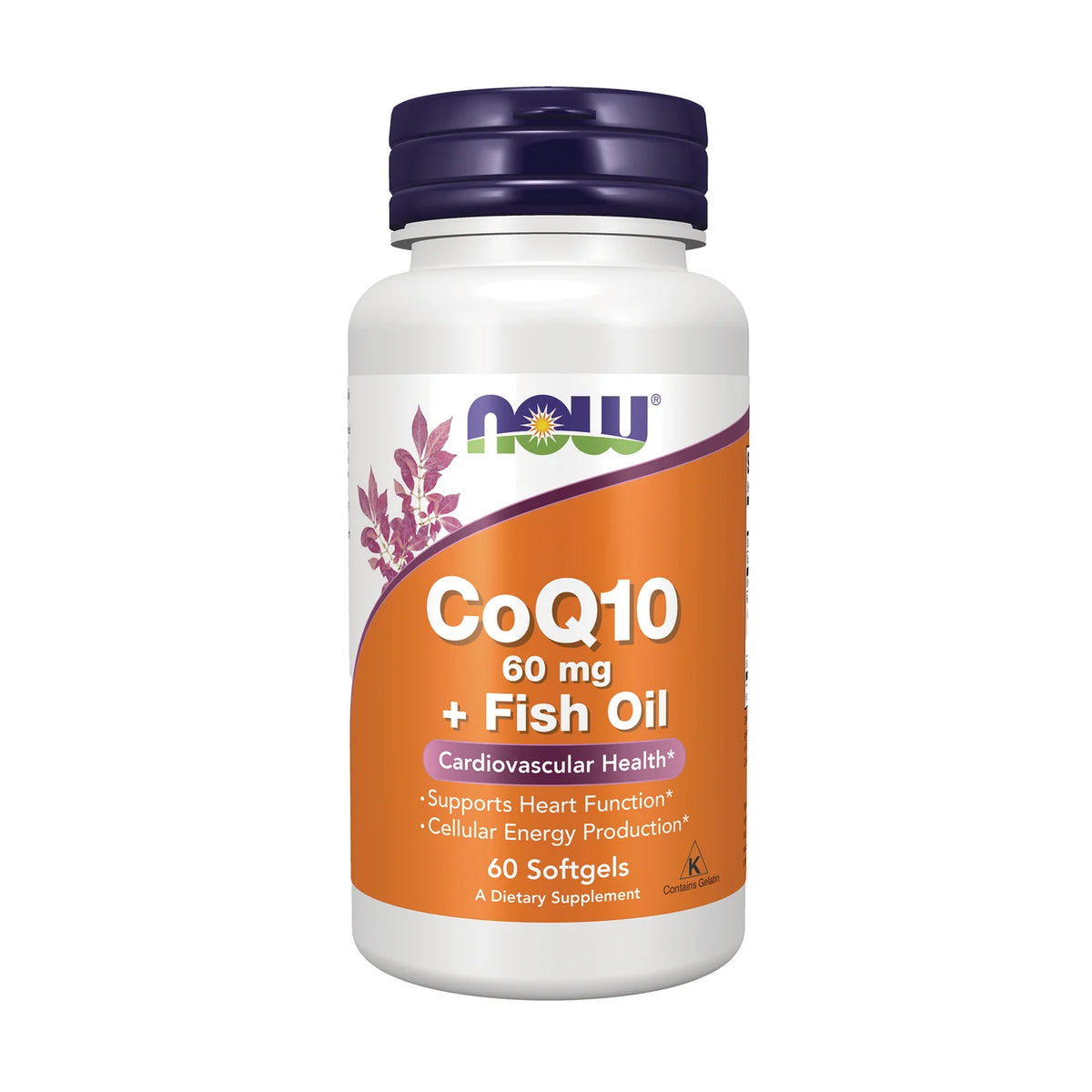 CoQ10 + Fish Oil