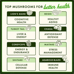 Shiitake Mushroom Extract