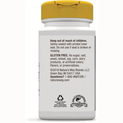 Vitamin B-6 High Potency