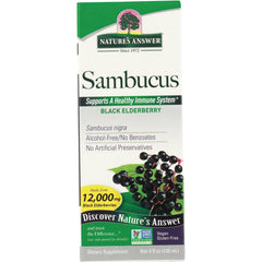 Sambucus Black Elderberry