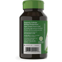 Riboflavin Vitamin B2
